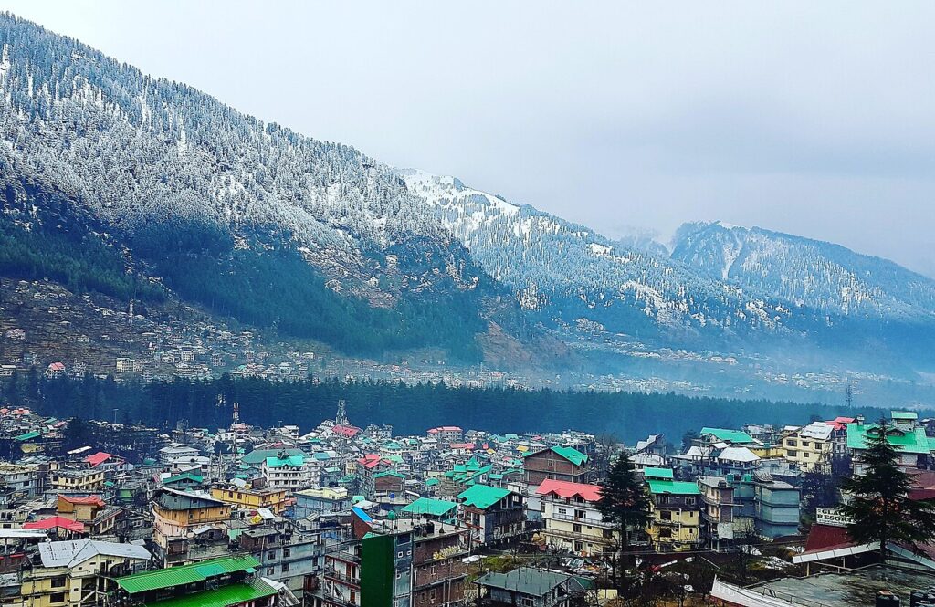 Snowfall and pine trees landscape in Manali Himachal Pradesh