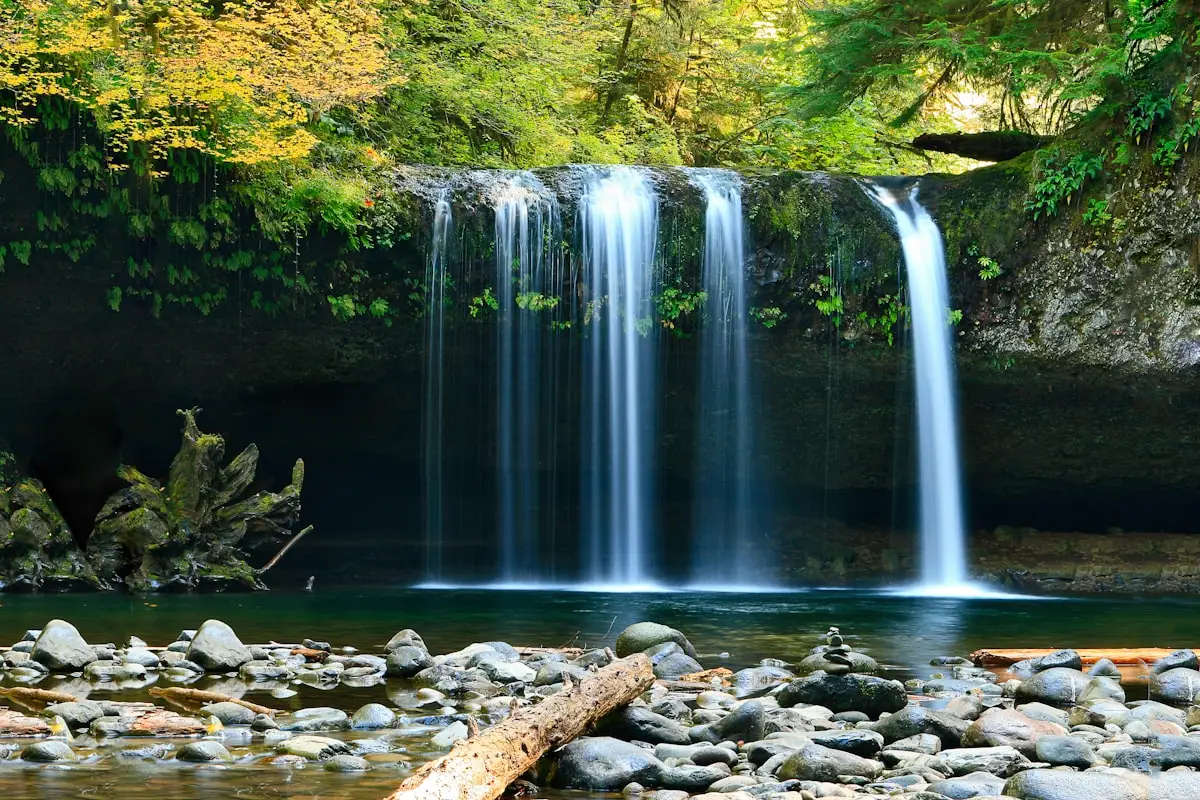 Dudhsagar Waterfall & Spice Plantation Romantic Day Tour from Goa