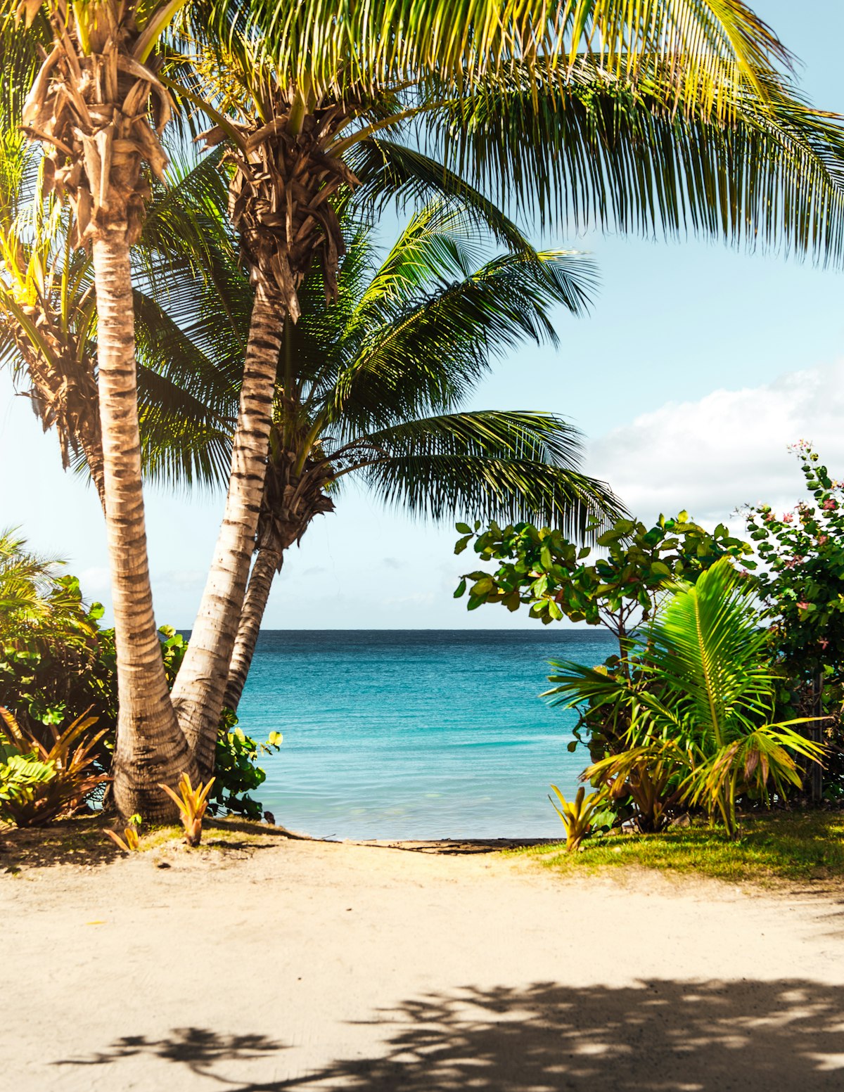 Marari Beach Honeymoon: Swaying Palms, White Sands & Eco-Luxury Serenity