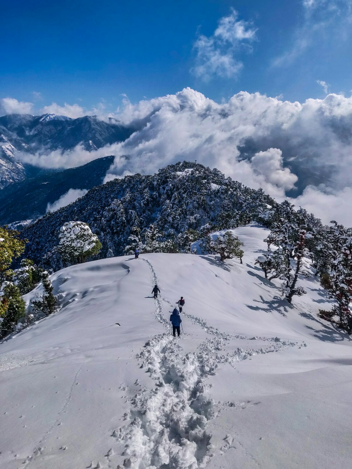 Shimla Honeymoon Guide: Colonial Heritage, The Ridge & Scenic Kufri Snow Escapes