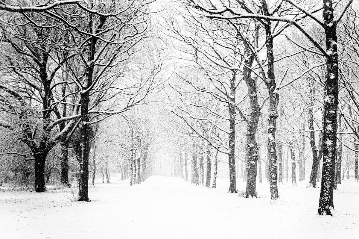 Winter Honeymoon in Snowbound Manali: Igloo Stays, Skiing & Rohtang Snowscapes