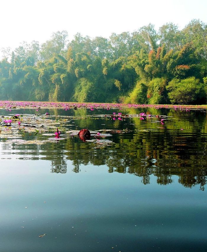 Escape the Heat: Top 10 Monsoon Weekend Getaways from Indore