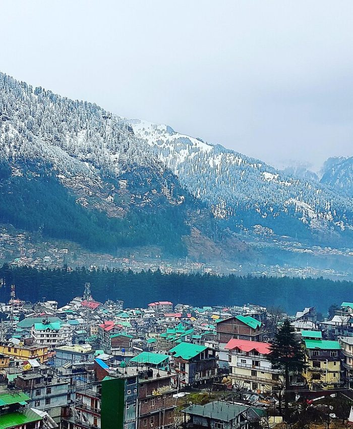 Snowfall and pine trees landscape in Manali Himachal Pradesh