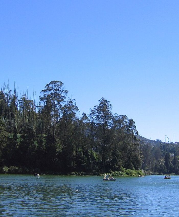 Premium family summer vacation tour package destination